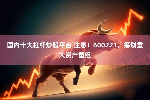 国内十大杠杆炒股平台 注意！600221，筹划重大资产重组