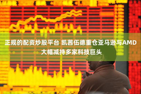 正规的配资炒股平台 凯茜伍德重仓亚马逊与AMD 大幅减持多家科技巨头