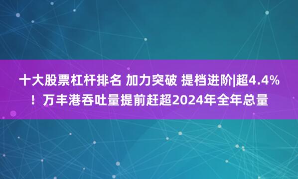 十大股票杠杆排名 加力突破 提档进阶|超4.4%！万丰港吞吐量提前赶超2024年全年总量